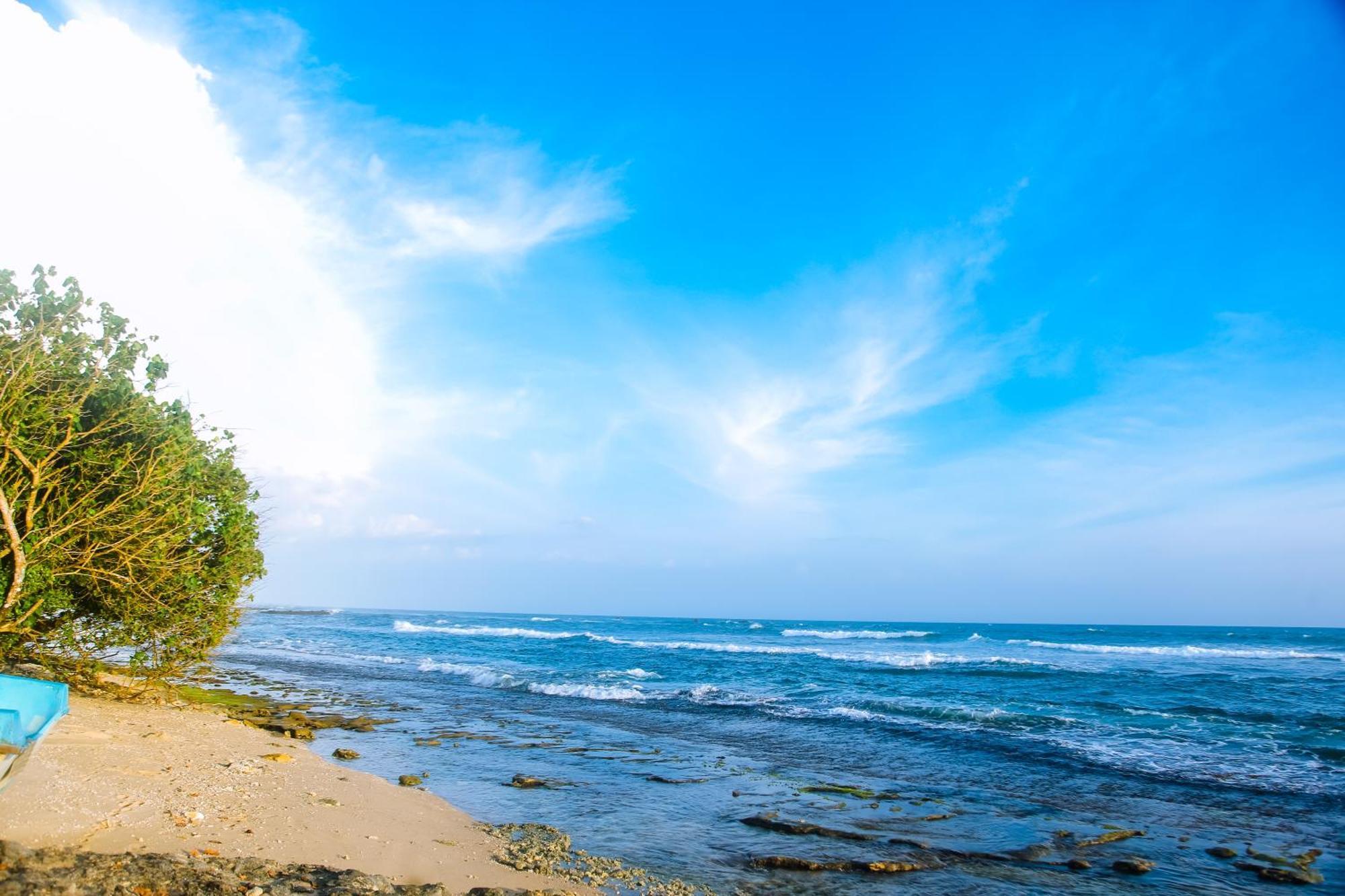 ホテル Mirissa Turtle Point Guest エクステリア 写真