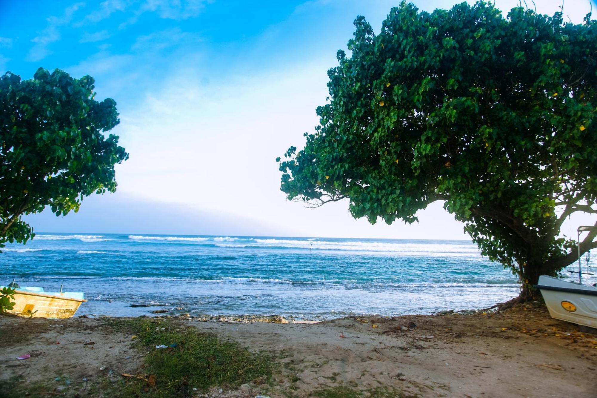 ホテル Mirissa Turtle Point Guest エクステリア 写真